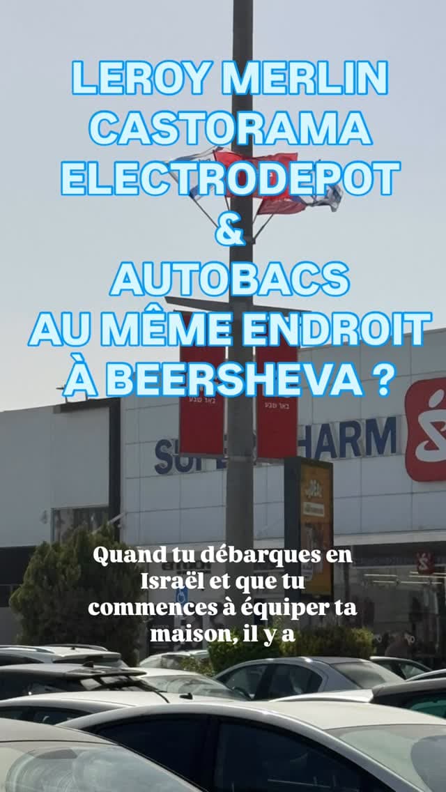Un mélange entre Leroy Merlin, Castorama, Electro Dépôt… et même un peu Autobacs, à Bee...