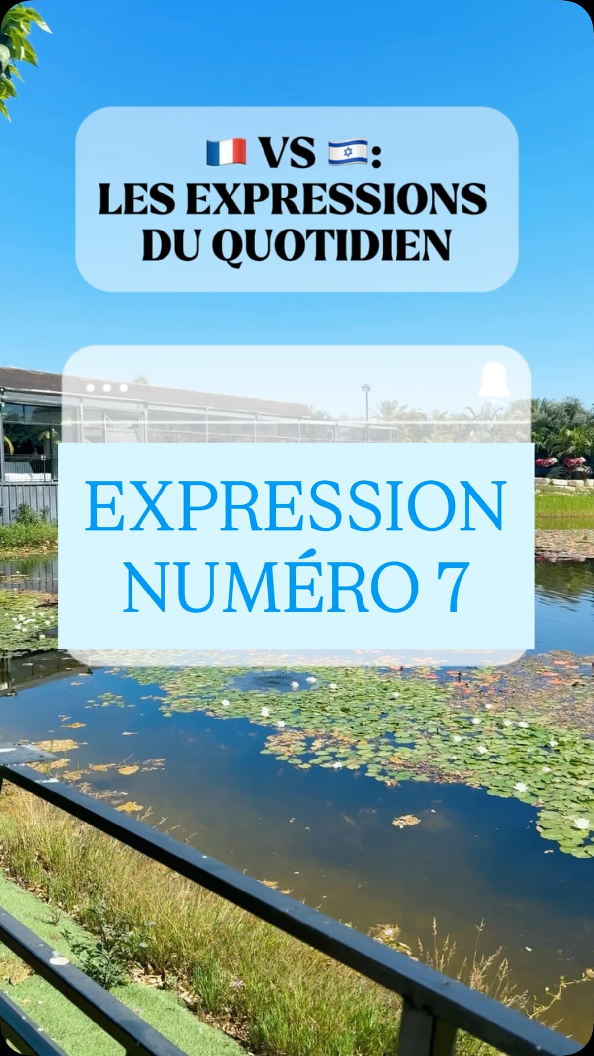🇮🇱 L’expression du jour en hébreu :